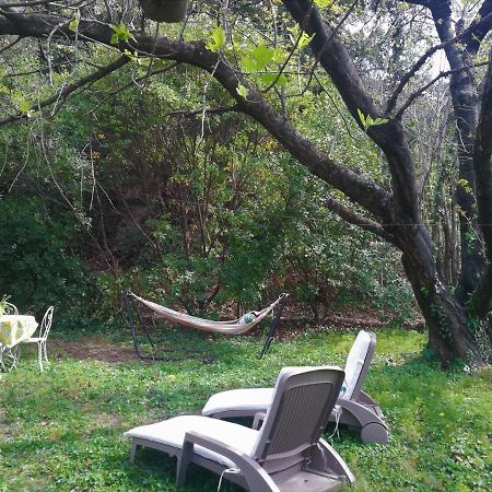 Joli Appartement Dans Villa Entre Nice Et L'Arriere Pays カスタニェ エクステリア 写真