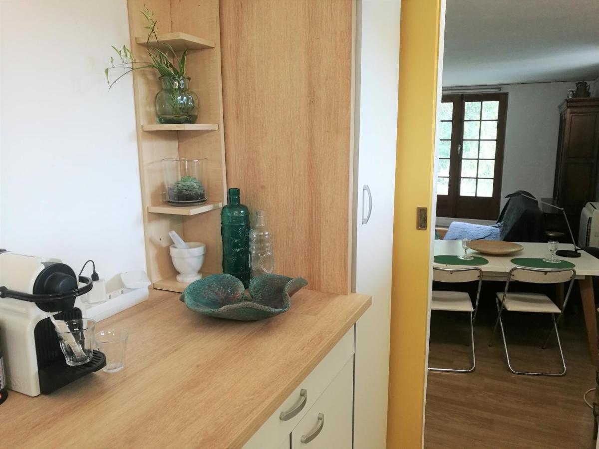 Joli Appartement Dans Villa Entre Nice Et L'Arriere Pays カスタニェ エクステリア 写真