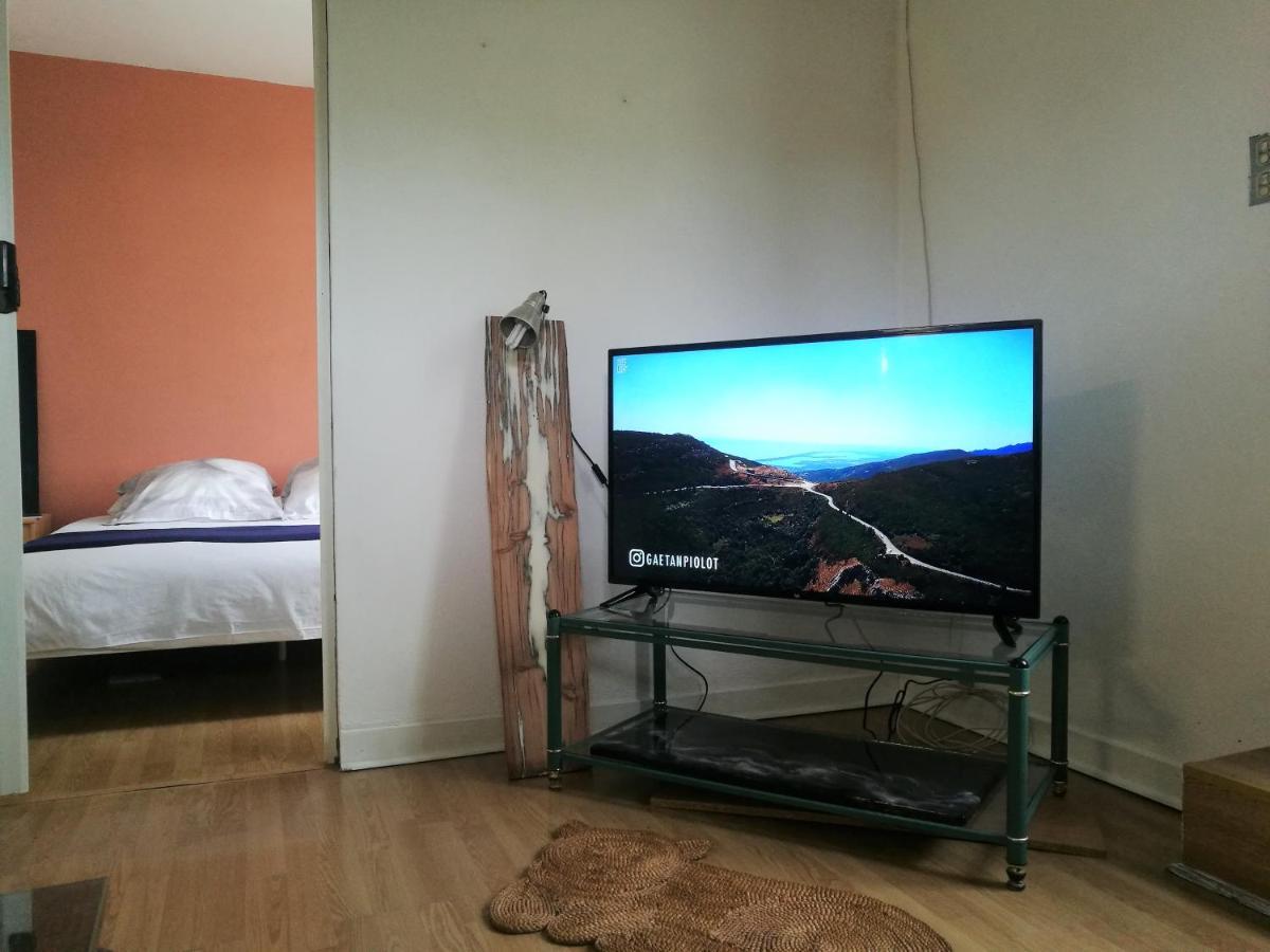 Joli Appartement Dans Villa Entre Nice Et L'Arriere Pays カスタニェ エクステリア 写真