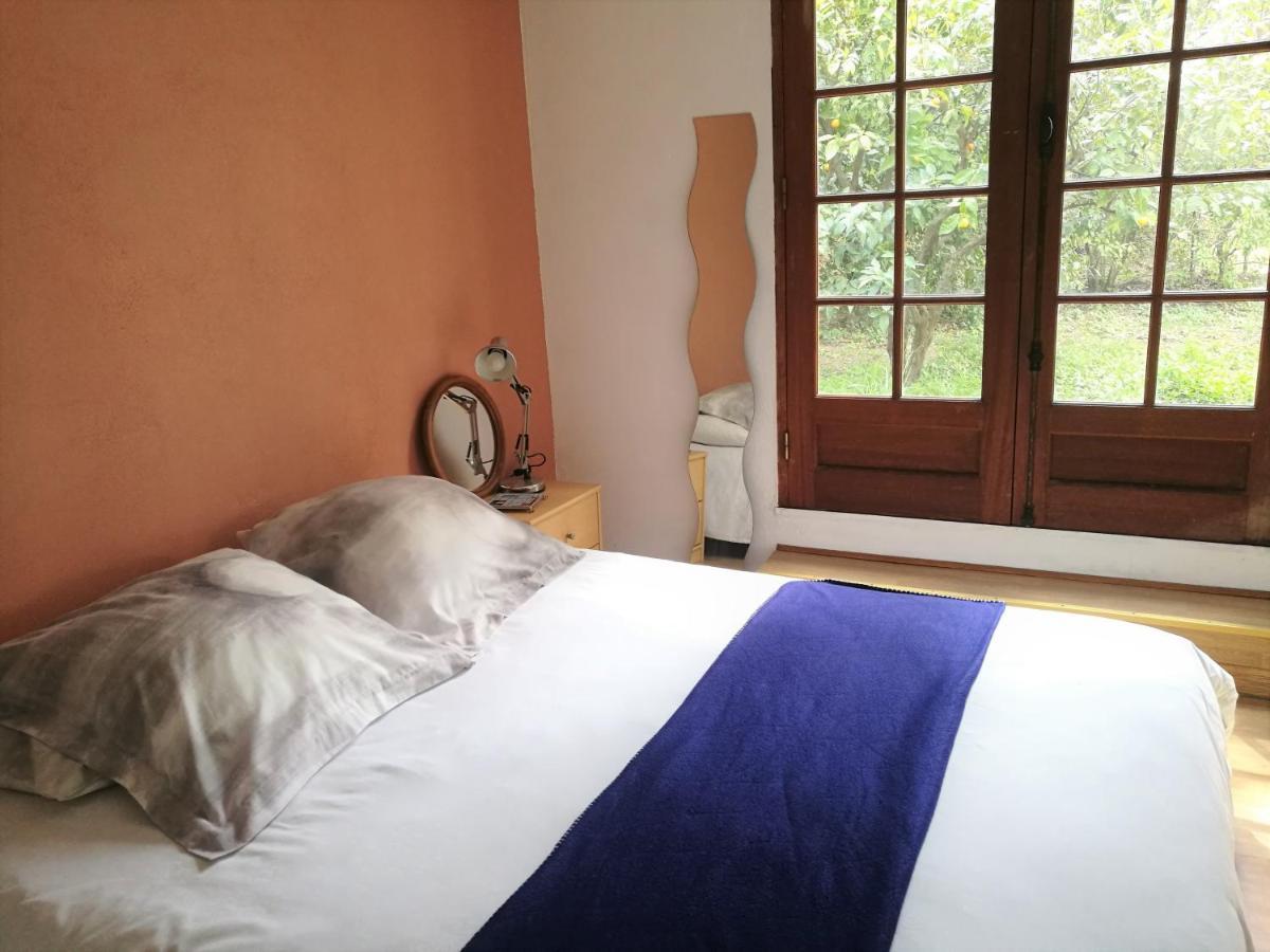 Joli Appartement Dans Villa Entre Nice Et L'Arriere Pays カスタニェ エクステリア 写真