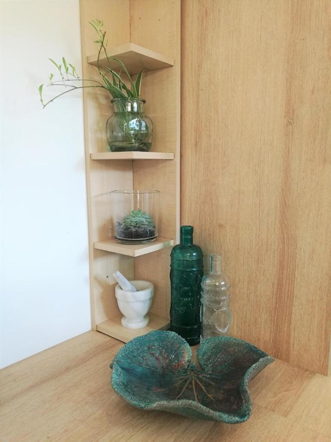 Joli Appartement Dans Villa Entre Nice Et L'Arriere Pays カスタニェ エクステリア 写真