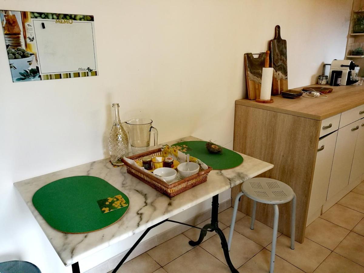 Joli Appartement Dans Villa Entre Nice Et L'Arriere Pays カスタニェ エクステリア 写真