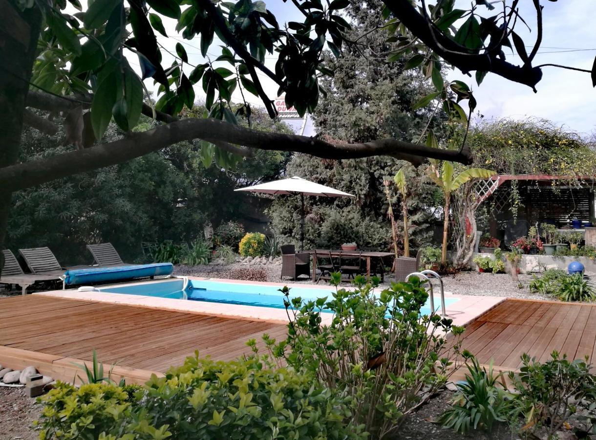 Joli Appartement Dans Villa Entre Nice Et L'Arriere Pays カスタニェ エクステリア 写真