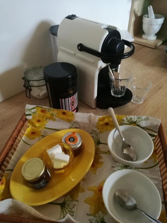 Joli Appartement Dans Villa Entre Nice Et L'Arriere Pays カスタニェ エクステリア 写真